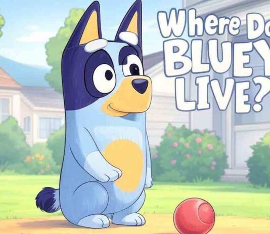 Where Does Bluey Live?