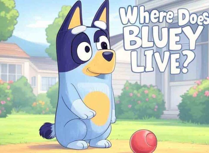 Where Does Bluey Live?