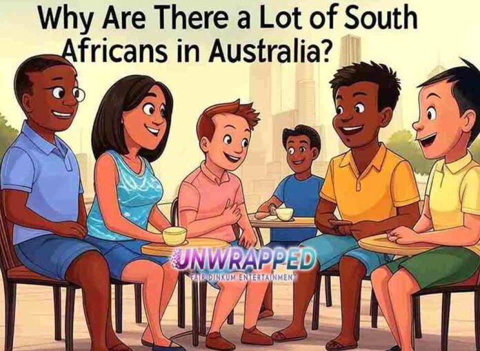 Why Are There a Lot of South Africans in Australi Why Are There a Lot of South Africans in Australia?