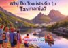 Why Do Tourists Go to Tasmania? Why Do Tourists Go to Tasmania?