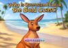 Why Is Queensland Called the Gold Coast? Why Is Queensland Called the Gold Coast?
