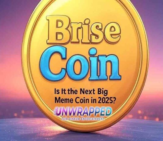 Brise Coin: Is It the Next Big Meme Coin in 2025?