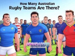 How Many Australian Rugby Teams Are There?
