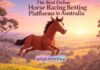 The Best Online Horse Racing Betting Platforms in Australia The Best Online Horse Racing Betting Platforms in Australia