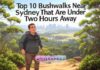 Top 10 Bushwalks Near Sydney That Are Under Two Hours Away Top 10 Bushwalks Near Sydney That Are Under Two Hours Away