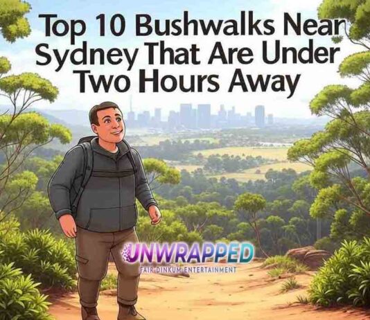 Top 10 Bushwalks Near Sydney That Are Under Two Hours Away