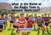 What is the Name of the Rugby Team in Western Australia? What is the Name of the Rugby Team in Western Australia?