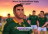What is the South African Rugby Team Called?