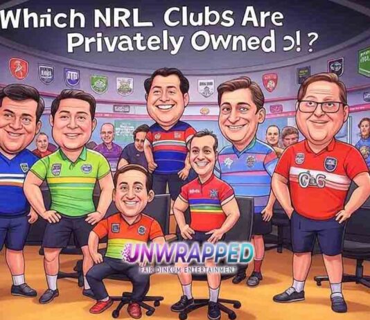 Which NRL Clubs Are Privately Owned?
