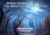 10 Most Haunted Forests in the World That Will Give You Chills 10 Most Haunted Forests in the World That Will Give You Chills