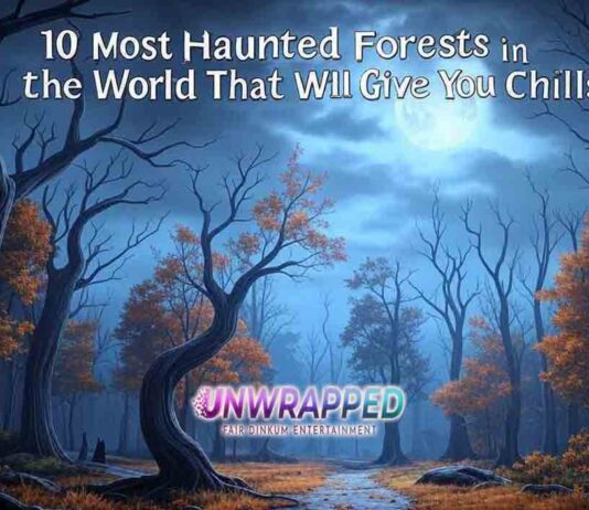 10 Most Haunted Forests in the World That Will Give You Chills 10 Most Haunted Forests in the World That Will Give You Chills