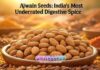 Ajwain Seeds: India’s Most Underrated Digestive Spice Ajwain Seeds: India’s Most Underrated Digestive Spice