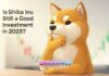 Is Shiba Inu Still a Good Investment in 2025? Is Shiba Inu Still a Good Investment in 2025?