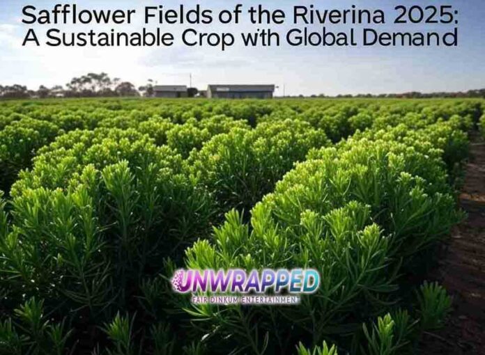 Safflower Fields of the Riverina 2025: A Sustainable Crop with Global Demand