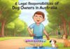 6 Legal Responsibilities of Dog Owners in Australia 6 Legal Responsibilities of Dog Owners in Australia