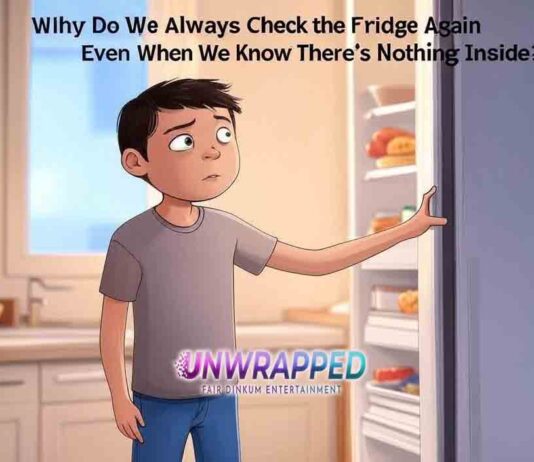 Why Do We Always Check the Fridge Again Even When We Know There’s Nothing Inside? Why Do We Always Check the Fridge Again Even When We Know There’s Nothing Inside?
