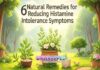 6 Natural Remedies for Reducing Histamine Intolerance Symptoms” 6 Natural Remedies for Reducing Histamine Intolerance Symptoms”