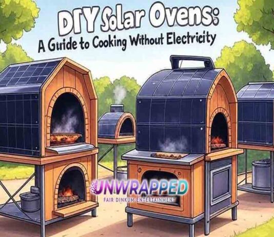 DIY Solar Ovens: A Guide to Cooking Without Electricity