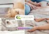 How Cotton Bedsheets Help You Stay Warm All Winter Long? How Cotton Bedsheets Help You Stay Warm All Winter Long?
