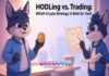 HODLing vs. Trading: Which Crypto Strategy Is Best for You? HODLing vs. Trading: Which Crypto Strategy Is Best for You?