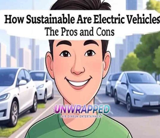 How Sustainable Are Electric Vehicles? The Pros and Cons