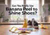 Can You Really Use Banana Peel to Shine Shoes? Can You Really Use Banana Peel to Shine Shoes?