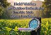 Field Watches for Outdoor Enthusiasts: Durable Style Meets Function Field Watches for Outdoor Enthusiasts