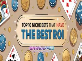 Top 10 Niche Bets That Have the Best ROI