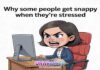 Why Some People Get Snappy When They’re Stressed Why Some People Get Snappy When They’re Stressed