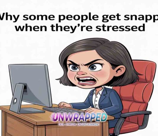 Why Some People Get Snappy When They’re Stressed