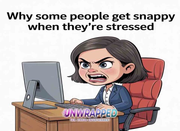 Why Some People Get Snappy When They’re Stressed
