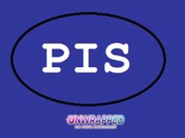 NRI Demat Account with PIS (Portfolio Investment Scheme)