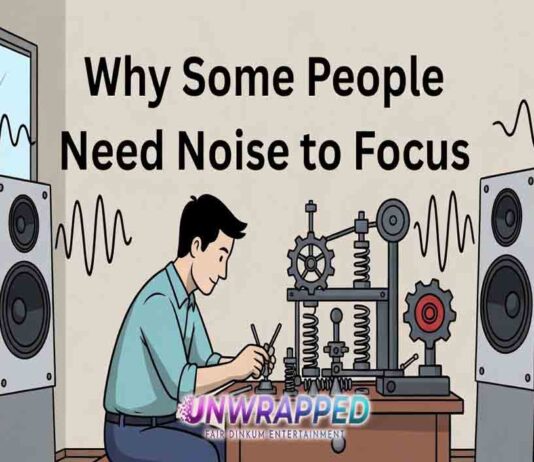 Why Some People Need Noise to Focus
