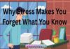 Why Stress Makes You Forget What You Know