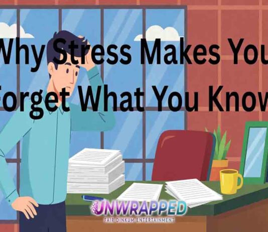 Why Stress Makes You Forget What You Know