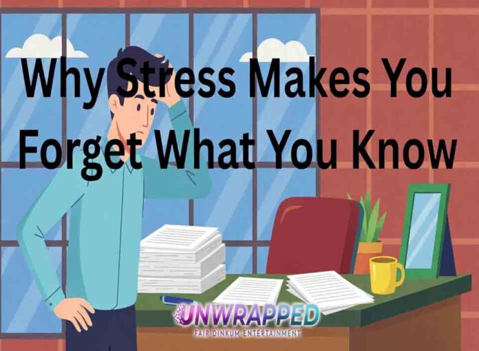 Why Stress Makes You Forget What You Know