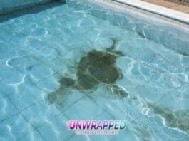 Pool cleaning: How it can transform your backyard experience