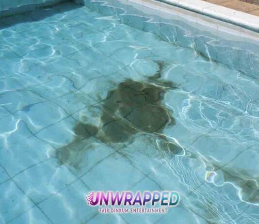 Pool cleaning: How it can transform your backyard experience