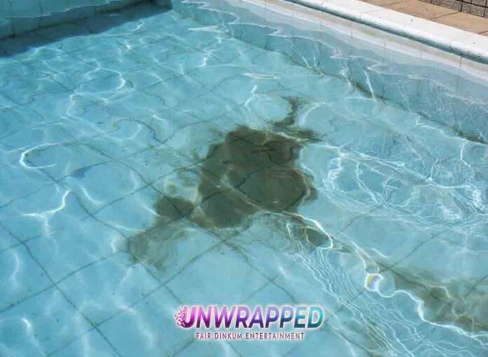 Pool cleaning: How it can transform your backyard experience