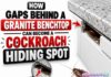 How Gaps Behind a Granite Benchtop Can Become a Cockroach Hiding Spot