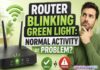 Router Blinking Green Light