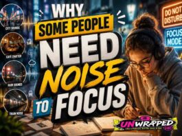 Why Some People Need Noise to Focus