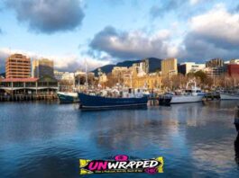 Taste, See, and Explore: The Perfect Hobart Driving Guide for Your Next Tassie Holiday
