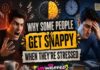 Why Some People Get Snappy When They’re Stressed Why Some People Get Snappy When They’re Stressed