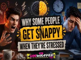 Why Some People Get Snappy When They’re Stressed