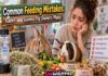 Common Feeding Mistakes Rabbit and Guinea Pig Owners Make