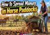 How to Spread Manure in Horse Paddocks How to Spread Manure in Horse Paddocks